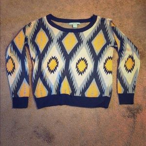 Cropped flying tomato brand sweater